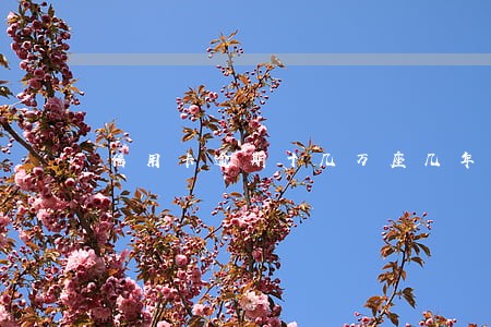 信用卡逾期十几万座几年牢 信用卡逾期十几万座几年牢