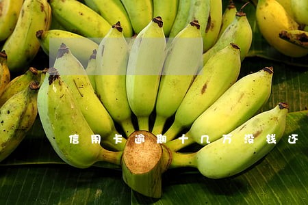 信用卡逾期十几万没钱还怎么解决 信用卡逾期十几万没钱还怎么解决