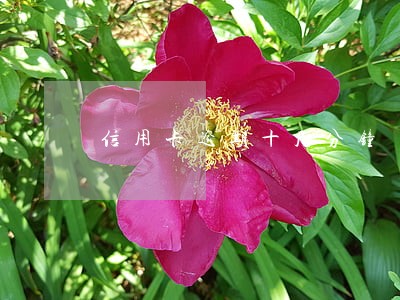信用卡逾期十几分钟 信用卡逾期十几分钟