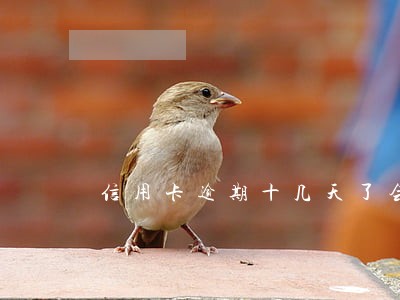 信用卡逾期十几天了会上门吗 信用卡逾期十几天了会上门吗