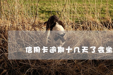 信用卡逾期十几天了会坐牢吗 信用卡逾期十几天了会坐牢吗