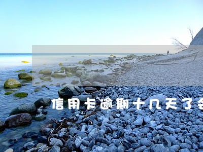信用卡逾期十几天了会怎么样