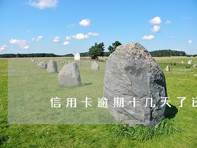 信用卡逾期十几天了还不起了