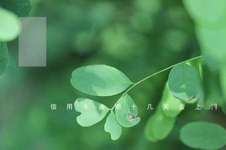 信用卡逾期十几天会上门 信用卡逾期十几天会上门