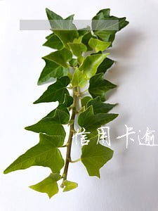 信用卡逾期十几天就被冻结了