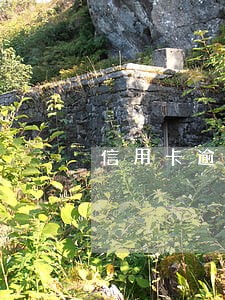 信用卡逾期十几天最低还款 信用卡逾期十几天最低还款