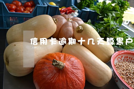 信用卡逾期十几天算黑户吗