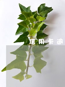 信用卡逾期十几天要多少利息 信用卡逾期十几天要多少利息