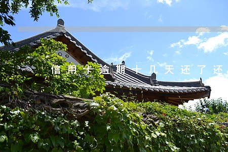 信用卡逾期十几天还了还能不能用 信用卡逾期十几天还了还能不能用