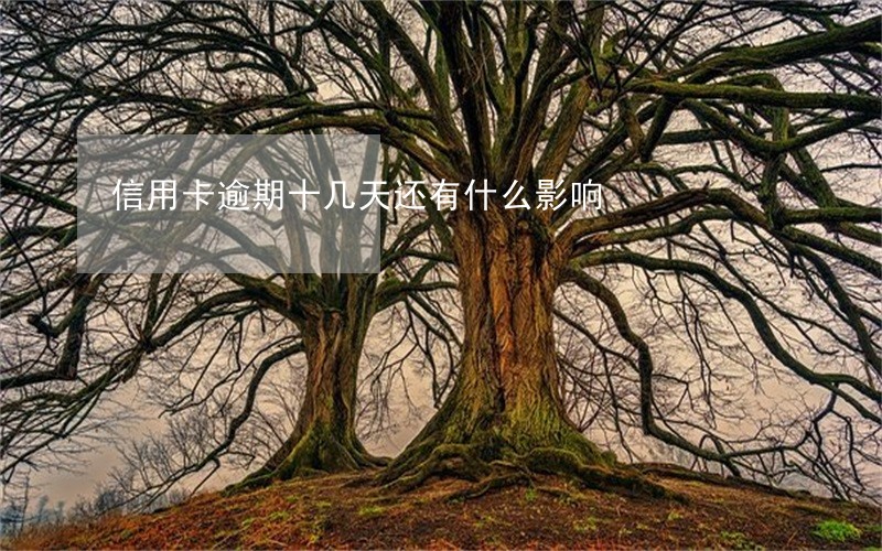 信用卡逾期十几天还有什么影响