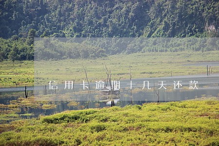 信用卡逾期十几天还款 信用卡逾期十几天还款