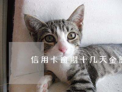 信用卡逾期十几天金额几百