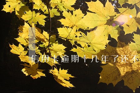 信用卡逾期十几年了还不起 信用卡逾期十几年了还不起