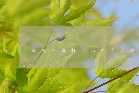 信用卡逾期十几年了还能办吗 信用卡逾期十几年了还能办吗