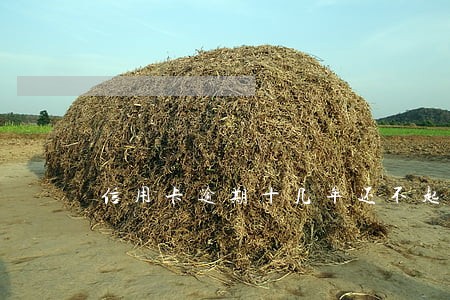 信用卡逾期十几年还不起了