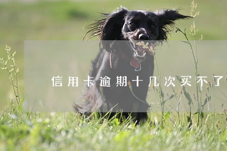 信用卡逾期十几次买不了房 信用卡逾期十几次买不了房