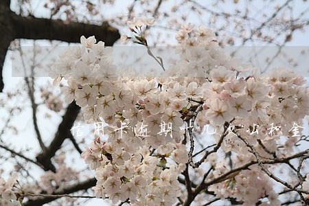 信用卡逾期十几次公积金 信用卡逾期十几次公积金