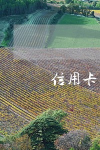 信用卡逾期十多万不还