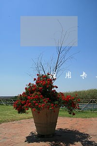 信用卡逾期十多万还不上了 信用卡逾期十多万还不上了