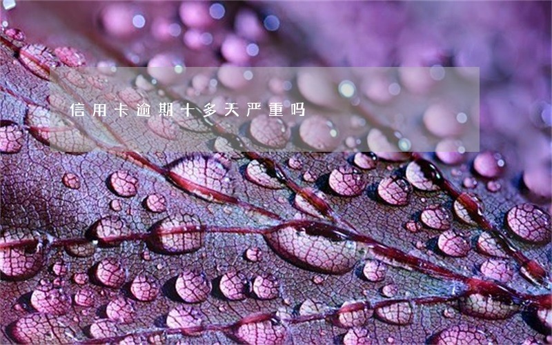 信用卡逾期十多天严重吗