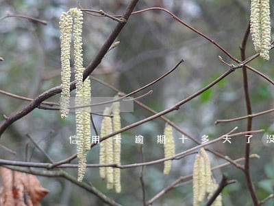 信用卡逾期十多天了没还会怎样