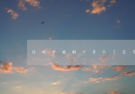 信用卡逾期十多天了还可以还吗 信用卡逾期十多天了还可以还吗