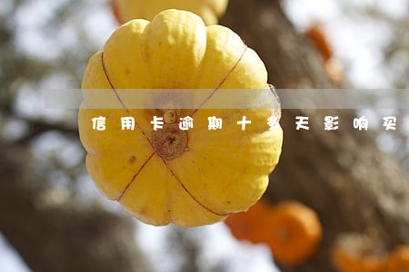 信用卡逾期十多天影响买房吗 信用卡逾期十多天影响买房吗