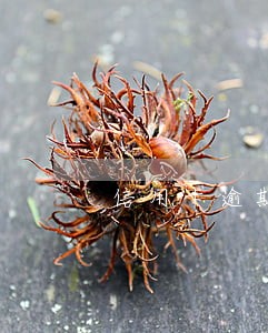 信用卡逾期十多天影响大吗