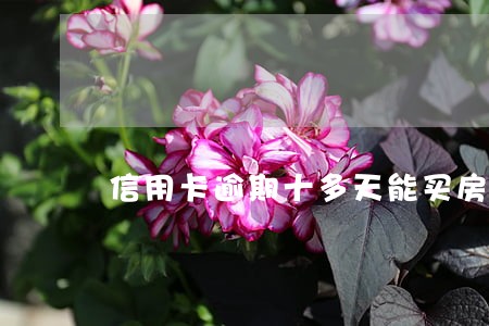 信用卡逾期十多天能买房吗 信用卡逾期十多天能买房吗