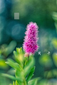 信用卡逾期十多天能贷款吗 信用卡逾期十多天能贷款吗