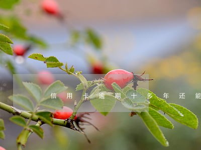信用卡逾期十多年还能办吗 信用卡逾期十多年还能办吗