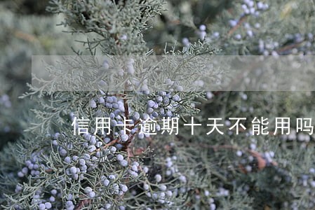 信用卡逾期十天不能用吗