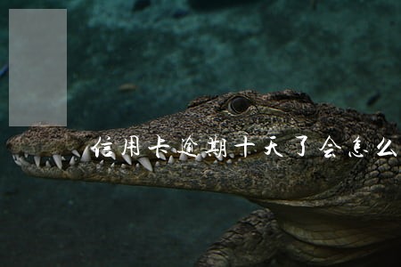 信用卡逾期十天了会怎么样啊 信用卡逾期十天了会怎么样啊