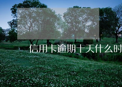 信用卡逾期十天什么时候更新 信用卡逾期十天什么时候更新
