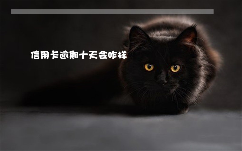 信用卡逾期十天会咋样