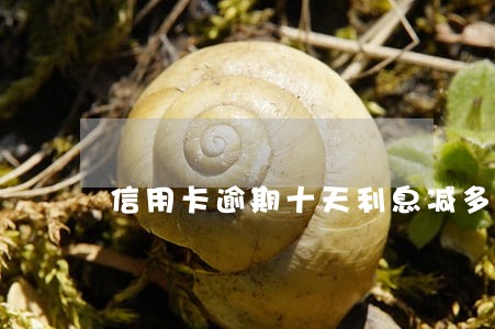 信用卡逾期十天利息减多少
