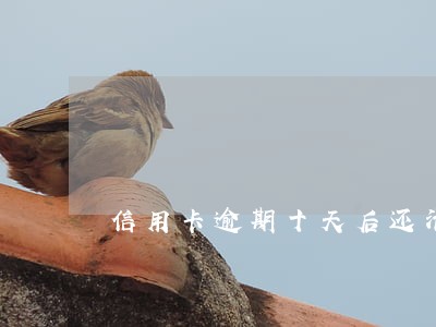 信用卡逾期十天后还清上传了吗 信用卡逾期十天后还清上传了吗