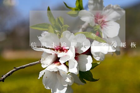 信用卡逾期十天多久能恢复征信 信用卡逾期十天多久能恢复征信