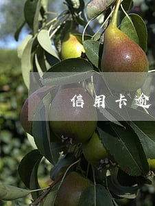 信用卡逾期十天如何恢复征信