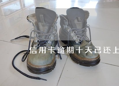 信用卡逾期十天已还上