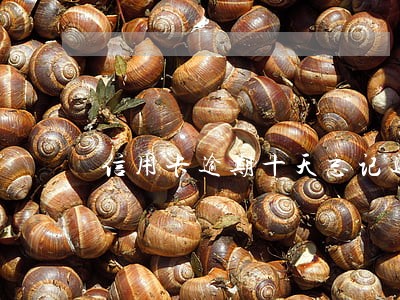 信用卡逾期十天忘记还 信用卡逾期十天忘记还