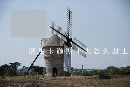 信用卡逾期十天怎么没上征信 信用卡逾期十天怎么没上征信