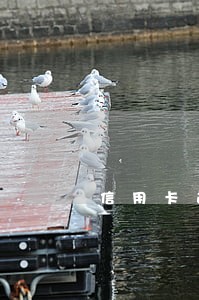信用卡逾期十天才还款