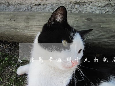 信用卡逾期十天打电话吗 信用卡逾期十天打电话吗