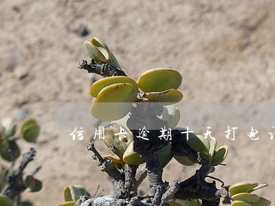 信用卡逾期十天打电话给家人对吗