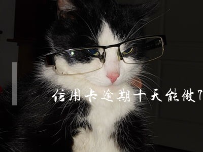 信用卡逾期十天能做714吗