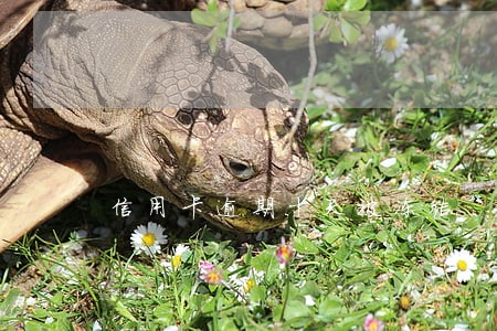 信用卡逾期十天被冻结