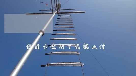 信用卡逾期十天被止付 信用卡逾期十天被止付