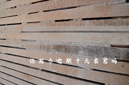 信用卡逾期十天要紧吗 信用卡逾期十天要紧吗