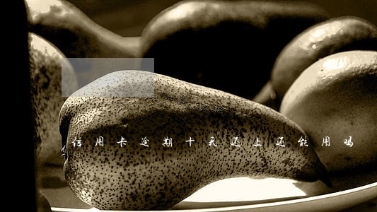 信用卡逾期十天还上还能用吗 信用卡逾期十天还上还能用吗